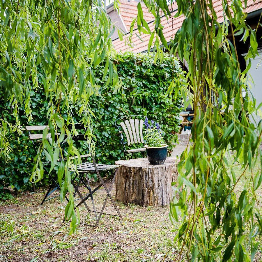 Broekhuizen  Aan De Molenberg Bed & Breakfast エクステリア 写真